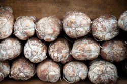 stockvault-dried-sausage138855.jpg